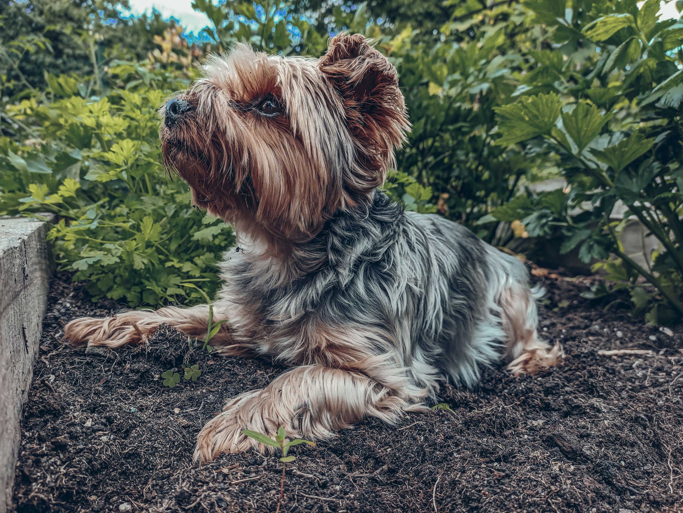 IMG_20210808_154429 (1)